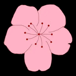 WWW,av336·COM网站APPAPP应用