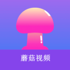 WWW,493av·COM网站APPAPP应用
