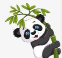 91看片官方版APP应用